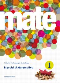Mate. Con espansione online. Vol. 1 - Maria Angela Cerini, Raul Fiamenghi, Donatella Giallongo - Libro Trevisini 2014 | Libraccio.it