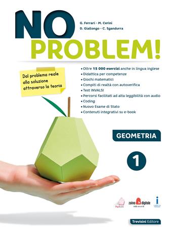 No problem! Geometria. Per la Scuola media. Vol. 1 - Giuseppe Ferrari, Maria Angela Cerini, Donatella Giallongo - Libro Trevisini 2020 | Libraccio.it