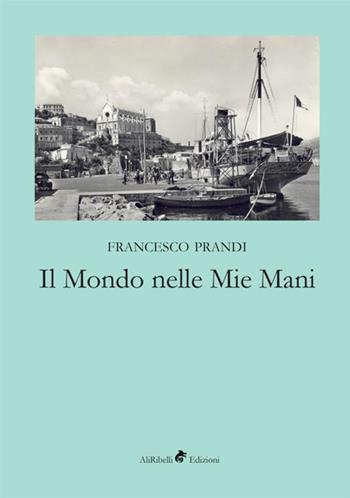 Il mondo nelle mie mani - Francesco Prandi - Libro StreetLib 2018 | Libraccio.it