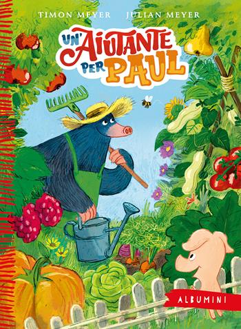 Un' aiutante per Paul. Ediz. a colori - Timon Meyer - Libro Emme Edizioni 2022, Albumini | Libraccio.it