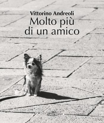Molto più di un amico. Ediz. illustrata - Vittorino Andreoli - Libro Marsilio 2020 | Libraccio.it