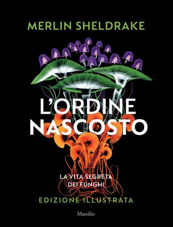 L'ordine nascosto. Ediz. a colori - Merlin Sheldrake - Libro Marsilio 2023 | Libraccio.it