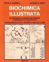 Biochimica illustrata - Donald Campbell, David W. Smith - Libro Piccin-Nuova Libraria 1985 | Libraccio.it