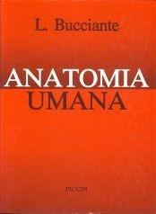 Anatomia umana - Luigi Bucciante - Libro Piccin-Nuova Libraria 1986 | Libraccio.it