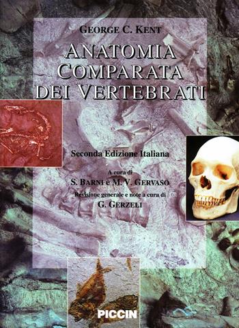Anatomia comparata dei vertebrati - George C. Kent - Libro Piccin-Nuova Libraria 1997 | Libraccio.it