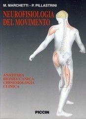 Neurofisiologia del movimento. Anatomia, biomeccanica, chinesiologia, clinica - M. Marchetti, Paolo Pillastrini - Libro Piccin-Nuova Libraria 1998 | Libraccio.it