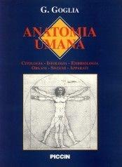 Anatomia. Anatomia umana - Gennaro Goglia - Libro Piccin-Nuova Libraria 1999 | Libraccio.it