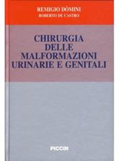Chirurgia delle malformazioni urinarie e genitali - Remigio Domini, Roberto De Castro - Libro Piccin-Nuova Libraria 1998 | Libraccio.it