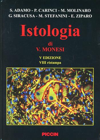 Istologia - Valerio Monesi - Libro Piccin-Nuova Libraria 2002 | Libraccio.it