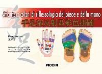 Atlante a colori di riflessologia del piede e della mano - Fu-Hui Dong - Libro Piccin-Nuova Libraria 2011 | Libraccio.it