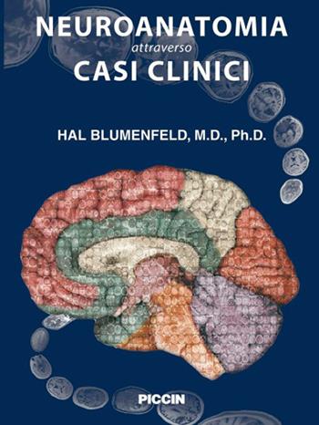 Neuroanatomia attraverso casi clinici - Hal Blumenfeld - Libro Piccin-Nuova Libraria 2014 | Libraccio.it
