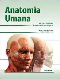 Anatomia umana - Michael Mckinley - Libro Piccin-Nuova Libraria 2014 | Libraccio.it