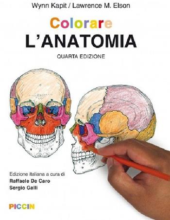 Colorare l'anatomia - Wynn Kapit, Lawrence M. Elson - Libro Piccin-Nuova Libraria 2016 | Libraccio.it