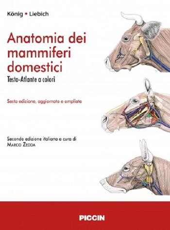 Anatomia dei mammiferi domestici - Horst E. König, Hans-Georg Liebich - Libro Piccin-Nuova Libraria 2016 | Libraccio.it