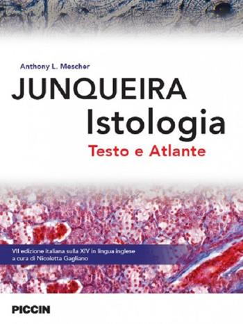Junqueira istologia. Testo e atlante - Anthony L. Mescher, Luis C. Junqueira - Libro Piccin-Nuova Libraria 2017 | Libraccio.it