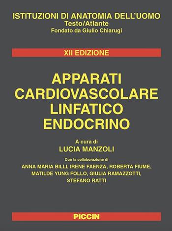 Apparati cardiovascolare linfatico endocrino - Giulio Chiarugi - Libro Piccin-Nuova Libraria 2019, Istituzioni di anatomia dell'uomo | Libraccio.it