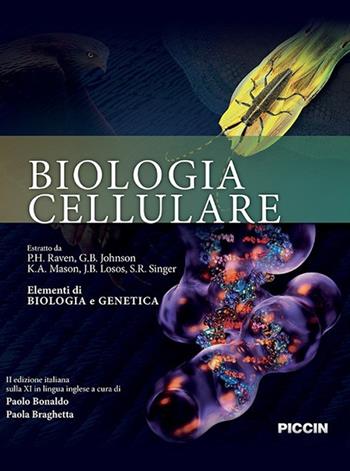 Biologia cellulare - Peter H. Raven, G. B. Johnson, K. A. Mason - Libro Piccin-Nuova Libraria 2018 | Libraccio.it