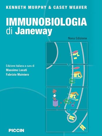 Immunobiologia di Janeway - Kenneth Murphy, Casey Weaver - Libro Piccin-Nuova Libraria 2019 | Libraccio.it
