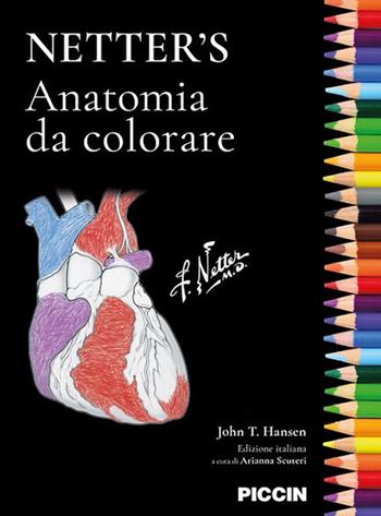 Netter's. Anatomia da colorare - John T. Hansen - Libro Piccin-Nuova Libraria 2020 | Libraccio.it