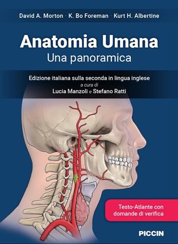 Anatomia umana. Una panoramica - David A. Morton, K. Bo Foreman, Kurt H. Albertine - Libro Piccin-Nuova Libraria 2020 | Libraccio.it