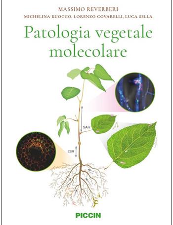 Patologia vegetale molecolare - Massimo Reverberi, Michelina Ruocco, Lorenzo Covarelli - Libro Piccin-Nuova Libraria 2022 | Libraccio.it