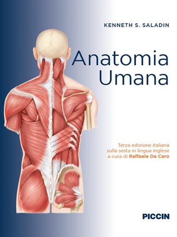 Anatomia umana - Kenneth S. Saladin - Libro Piccin-Nuova Libraria 2021 | Libraccio.it