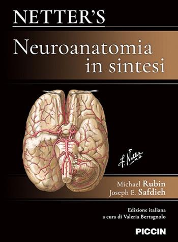 Netter's. Neuroanatomia in sintesi - Michael Rubin, Joseph E. Safdieh - Libro Piccin-Nuova Libraria 2022 | Libraccio.it