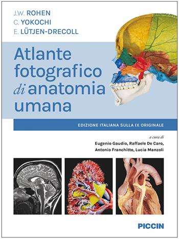 Atlante fotografico di anatomia umana - J. W. Rohen, C. Yokochi, E. Lutjen-Drecoll - Libro Piccin-Nuova Libraria 2022 | Libraccio.it