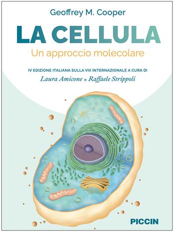 La cellula. Un approccio molecolare - Geoffrey M. Cooper - Libro Piccin-Nuova Libraria 2022 | Libraccio.it