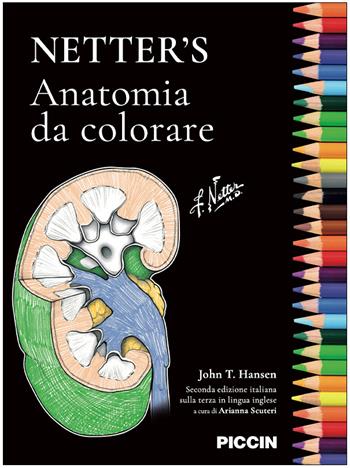 Netter's. Anatomia da colorare - John T. Hansen - Libro Piccin-Nuova Libraria 2023 | Libraccio.it