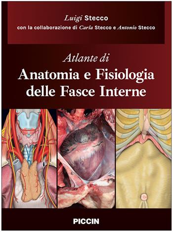 Atlante di anatomia e fisiologia delle fasce interne - Luigi Stecco, Carla Stecco, Antonio Stecco - Libro Piccin-Nuova Libraria 2023 | Libraccio.it