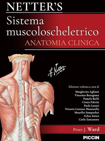 Netter's. Sistema muscoloscheletrico. Anatomia clinica - Peter J. Ward - Libro Piccin-Nuova Libraria 2023 | Libraccio.it