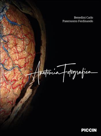 Anatomia fotografica. Ediz. illustrata - Carlo Benedini, Ferdinando Paternostro - Libro Piccin-Nuova Libraria 2024 | Libraccio.it