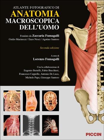 Atlante fotografico di anatomia macroscopica dell'uomo  - Libro Piccin-Nuova Libraria 2024 | Libraccio.it