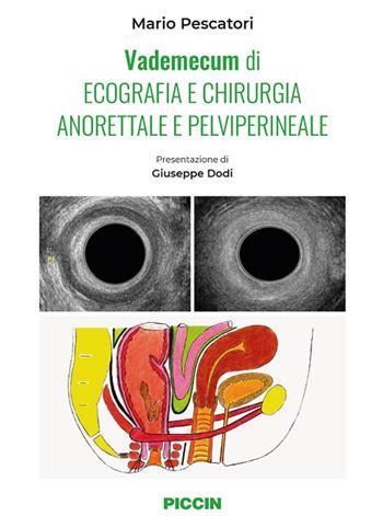 Vademecum di ecografia e chirurgia anorettale e pelviperineale - Mario Pescatori - Libro Piccin-Nuova Libraria 2024 | Libraccio.it