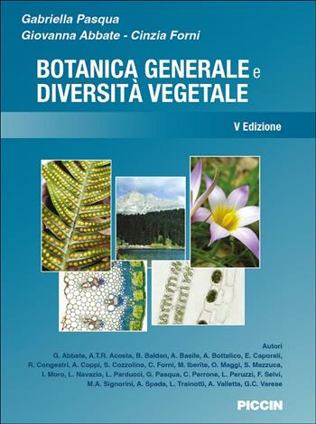 Botanica generale e diversità vegetale - Gabriella Pasqua, Giovanna Abbate, Cinzia Forni - Libro Piccin-Nuova Libraria 2025 | Libraccio.it