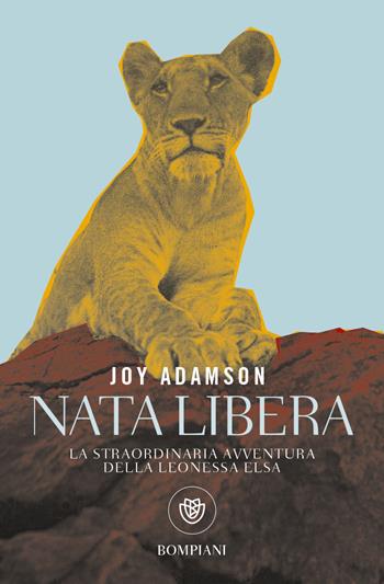 Nata libera. La straordinaria avventura della leonessa Elsa - Joy Adamson - Libro Bompiani 2022, Tascabili varia | Libraccio.it