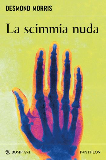 La scimmia nuda - Desmond Morris - Libro Bompiani 2026, Pantheon | Libraccio.it