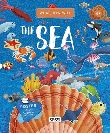 The sea. What, how, why. Con Poster - Giulia Pesavento, Enrico Lorenzi, Alberto Borgo - Libro Sassi 2022, Science | Libraccio.it
