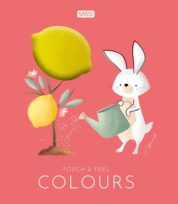 Colours. Touch & feel. Ediz. illustrata - Valentina Bonaguro, Valentina Manuzzato - Libro Sassi 2022, Sassi junior | Libraccio.it