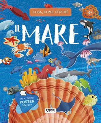 Il mare. Cosa, come, perché. Con Poster - Giulia Pesavento, Enrico Lorenzi - Libro Sassi 2022, Science | Libraccio.it