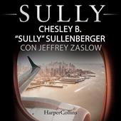 Libraccio Sully (Versione italiana) (audiolibro)