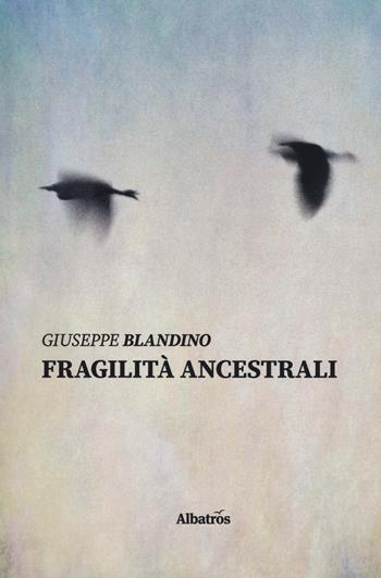 Fragilità ancestrali - Giuseppe Blandino - Libro Gruppo Albatros Il Filo 2019, Nuove voci. Le piume | Libraccio.it