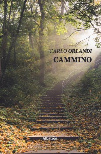 Cammino - Carlo Orlandi - Libro Gruppo Albatros Il Filo 2019, Nuove voci. Strade | Libraccio.it