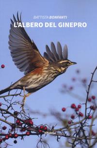 L' albero del ginepro - Battista Bonfanti - Libro Gruppo Albatros Il Filo 2019, Nuove voci. Strade | Libraccio.it