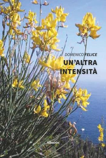 Un' altra intensità - Domenico Felice - Libro Gruppo Albatros Il Filo 2020, Nuove voci. Le piume | Libraccio.it
