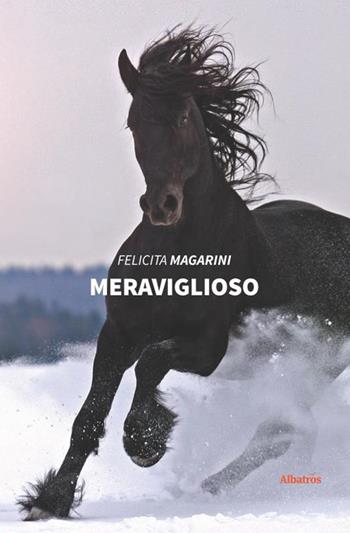 Meraviglioso - Felicita Magarini - Libro Gruppo Albatros Il Filo 2020, Nuove voci. Strade | Libraccio.it