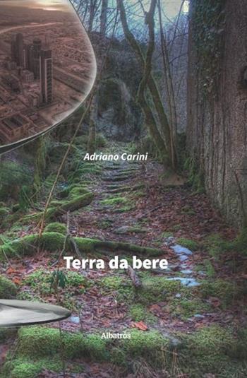 Terre da bere - Adriano Carini - Libro Gruppo Albatros Il Filo 2020, Nuove voci. Imago | Libraccio.it