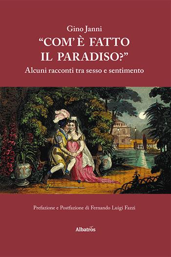 «Com'è fatto il paradiso?» Alcuni racconti tra sesso e sentimento - Gino Janni - Libro Gruppo Albatros Il Filo 2021, Nuove voci. Strade | Libraccio.it