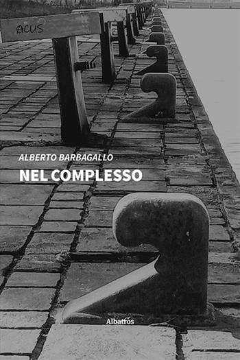 Nel complesso - Alberto Barbagallo - Libro Gruppo Albatros Il Filo 2021, Nuove voci. Strade | Libraccio.it